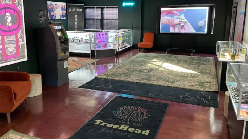 inside Treehead Culture